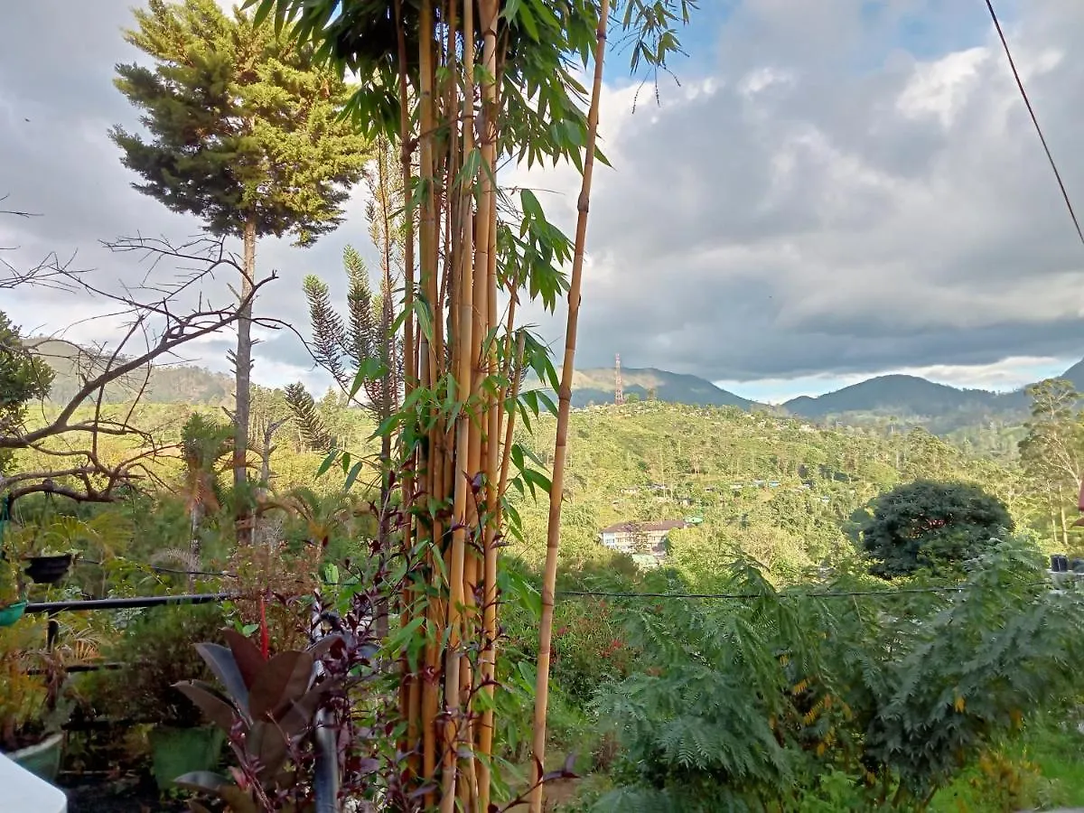 Princess Of Dickoya Homestay Hatton Sri Lanka